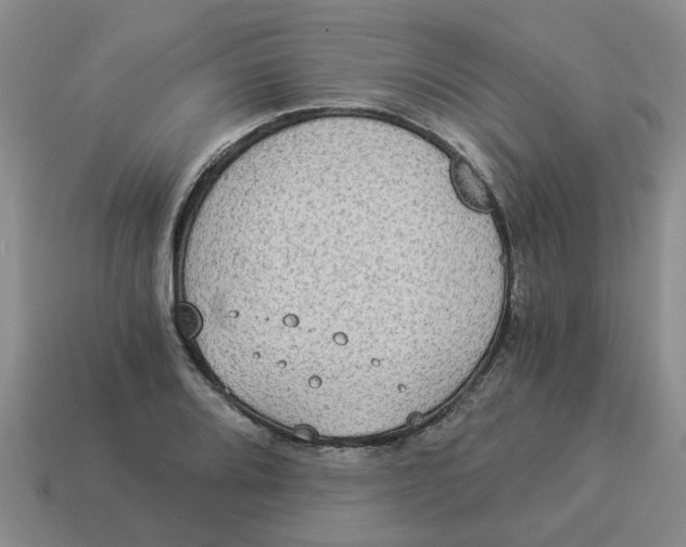 X0000114501080200911091105