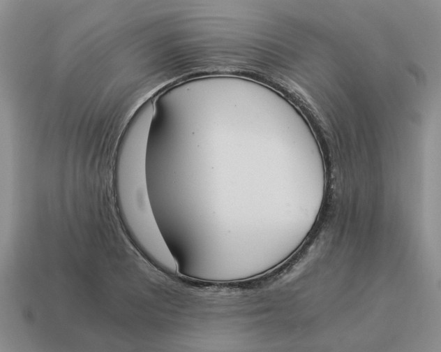 X0000114501081200911091105