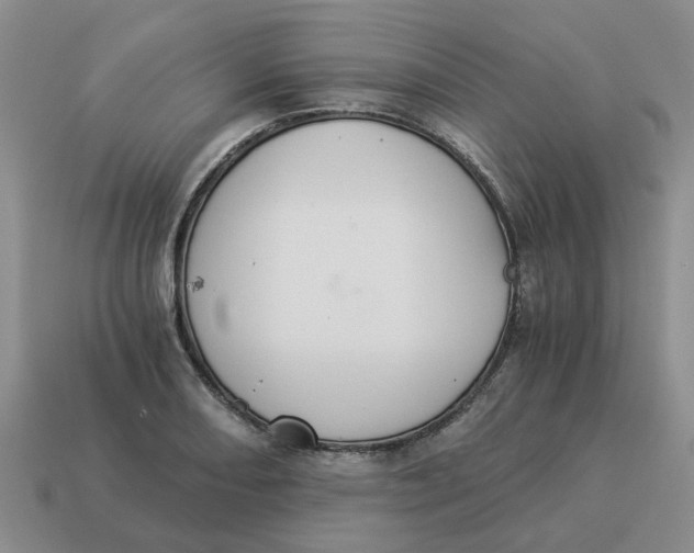 X0000114501082200911091105