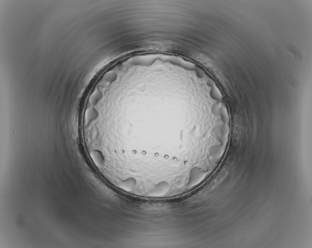 X0000114501083200911091105