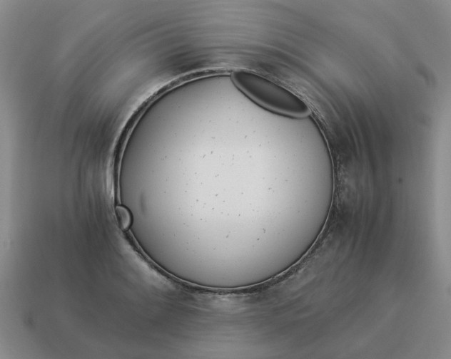 X0000114501084200911091105