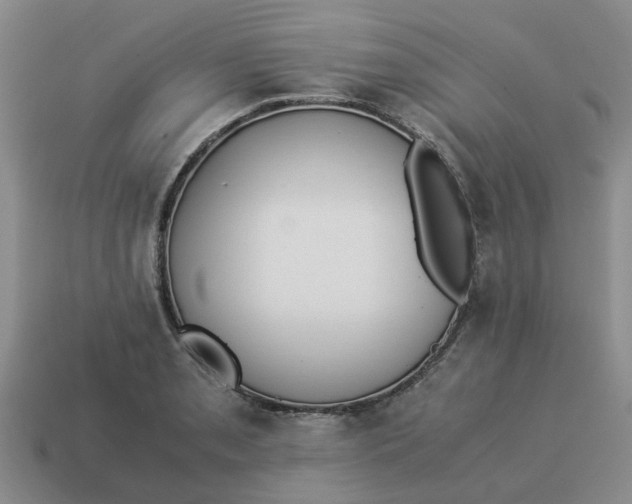 X0000114501085200911091105