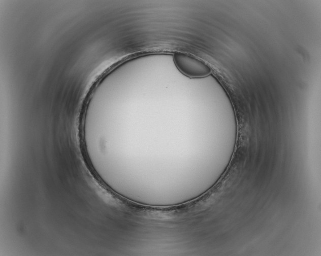 X0000114501086200911091104