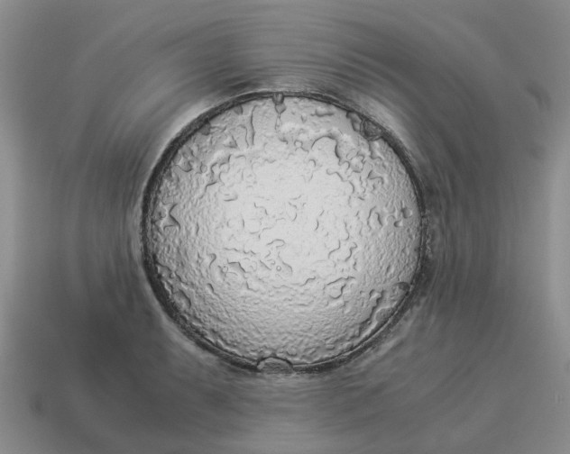 X0000114501087200911091104