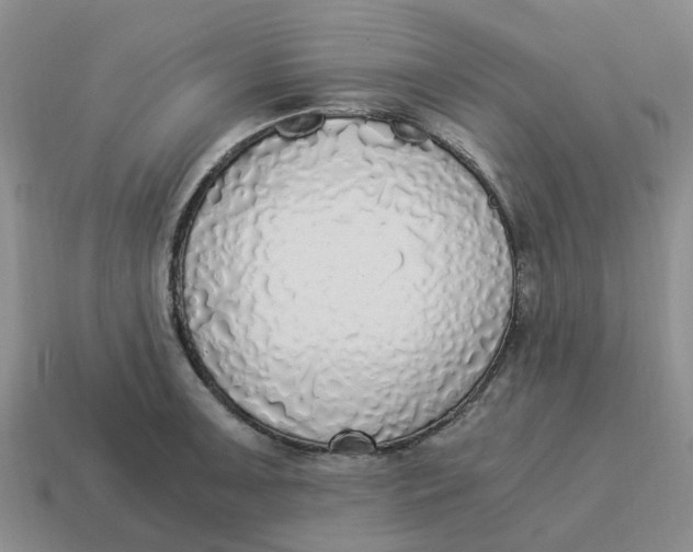 X0000114501091200911091104