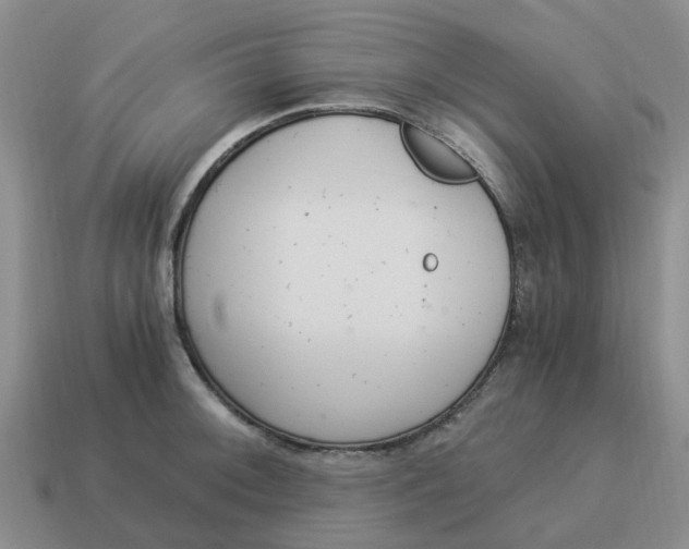 X0000114501092200911091104
