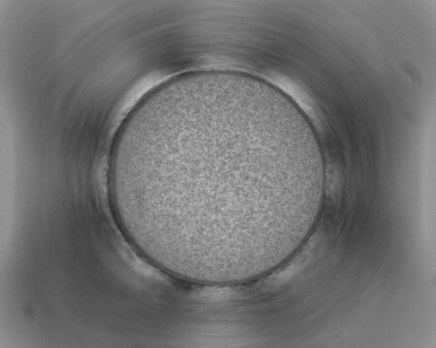 X0000114501094200911091104