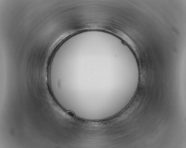 X0000114501096200911091104