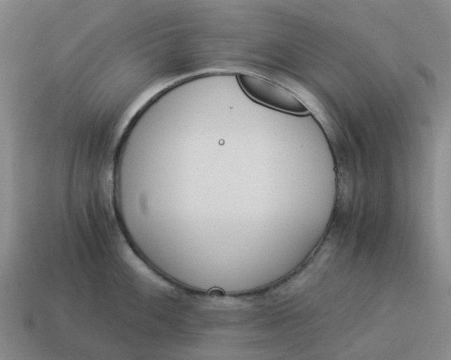 X0000114501100200911091104