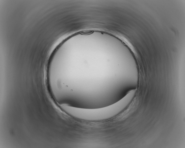 X0000114501101200911091104