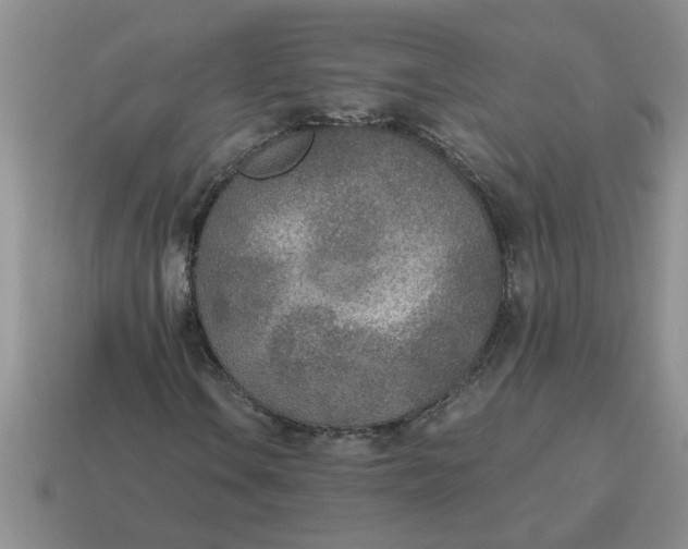 X0000114501106200911091104