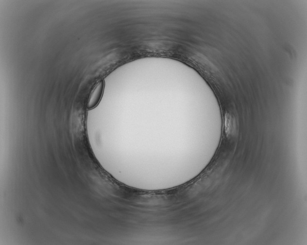 X0000114501107200911091104