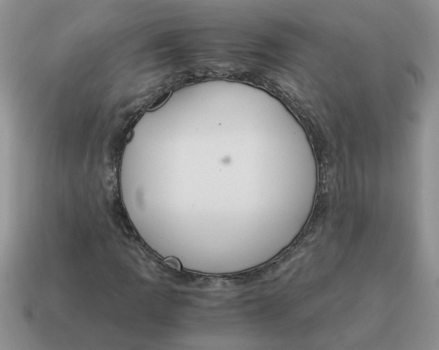 X0000114501109200911091104