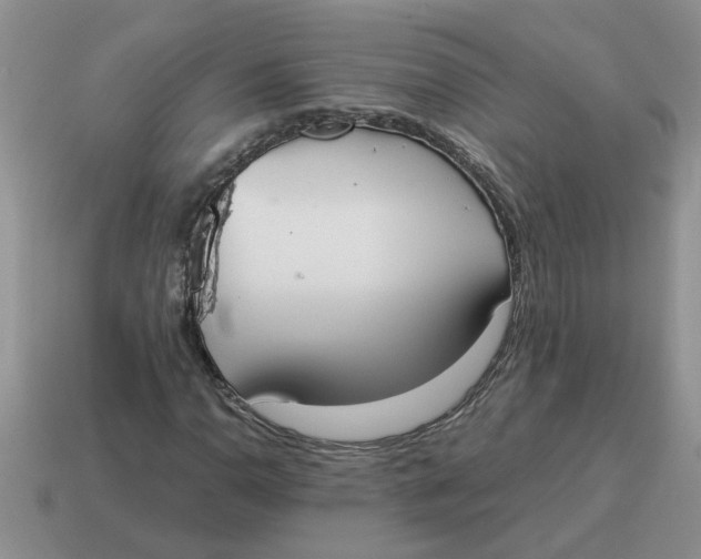 X0000114501110200911091104