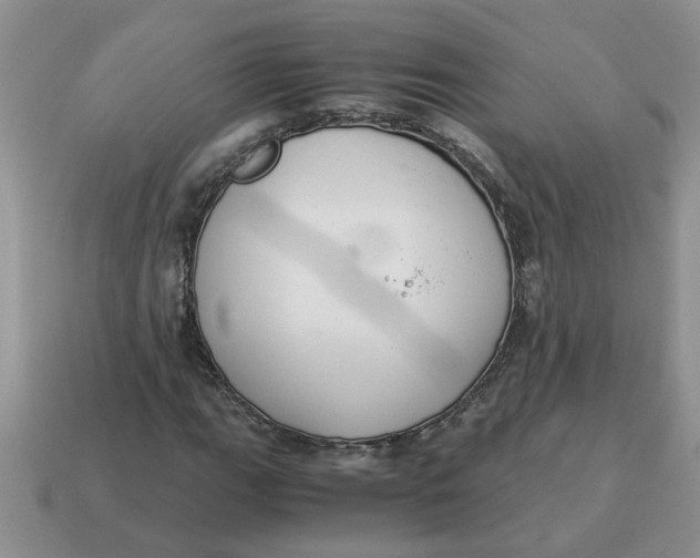 X0000114501111200911091104