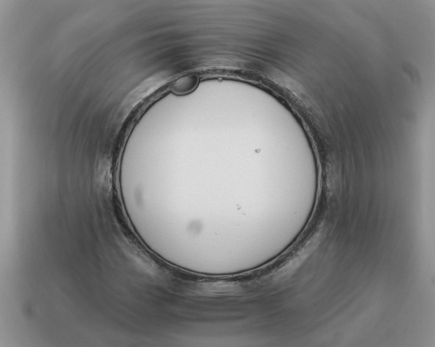 X0000114501113200911091104