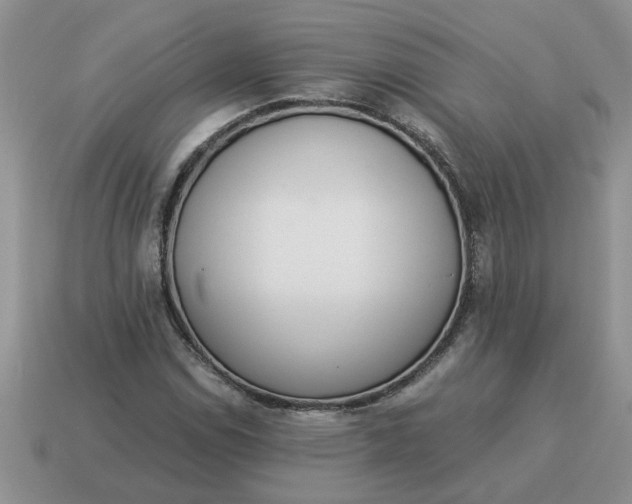 X0000114501114200911091104