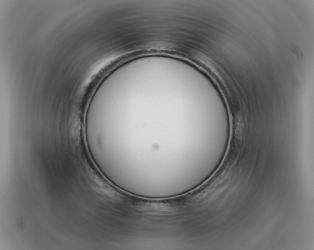 X0000114501115200911091104