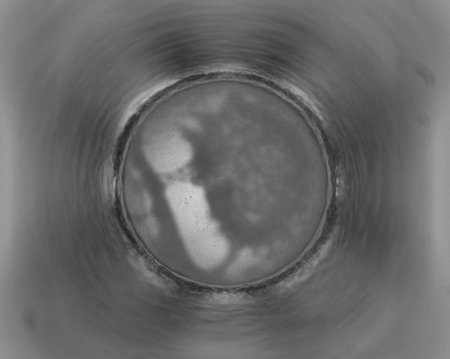 X0000114501117200911091104