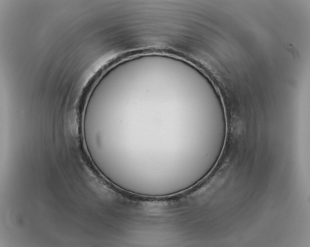 X0000114501118200911091104