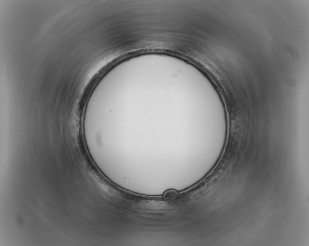 X0000114501119200911091104