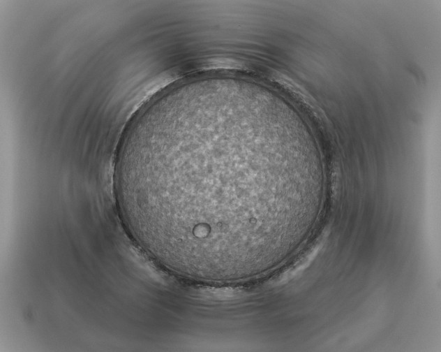 X0000114501121200911091104