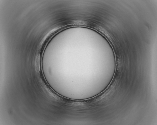 X0000114501123200911091104