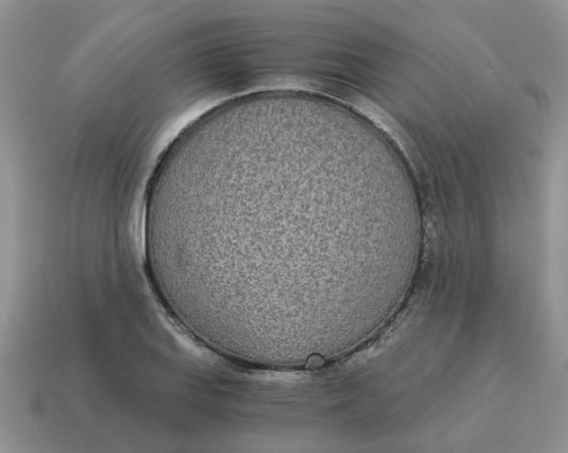 X0000114501127200911091104