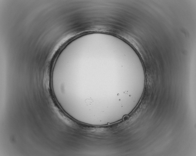 X0000114501131200911091104
