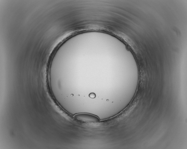 X0000114501134200911091104