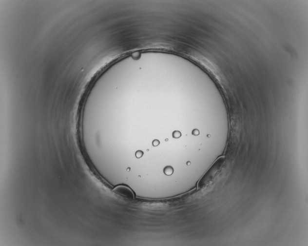 X0000114501135200911091104