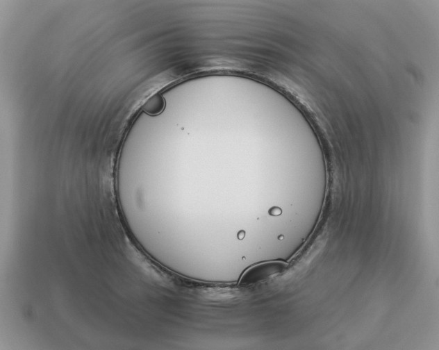 X0000114501137200911091104