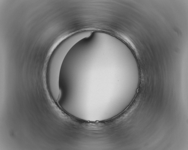 X0000114501138200911091104