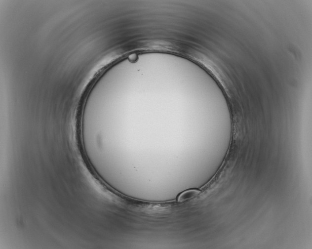 X0000114501139200911091104
