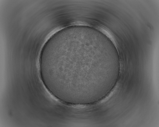 X0000114501141200911091104