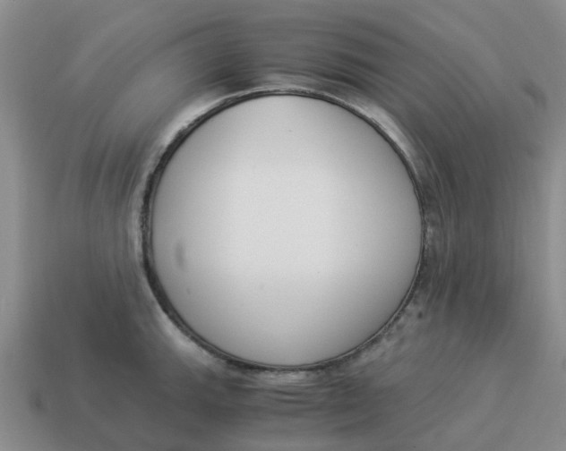 X0000114501143200911091104