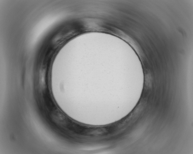 X0000114501150200911091104