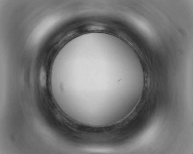 X0000114501151200911091104