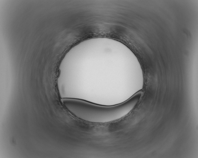 X0000114501153200911091104