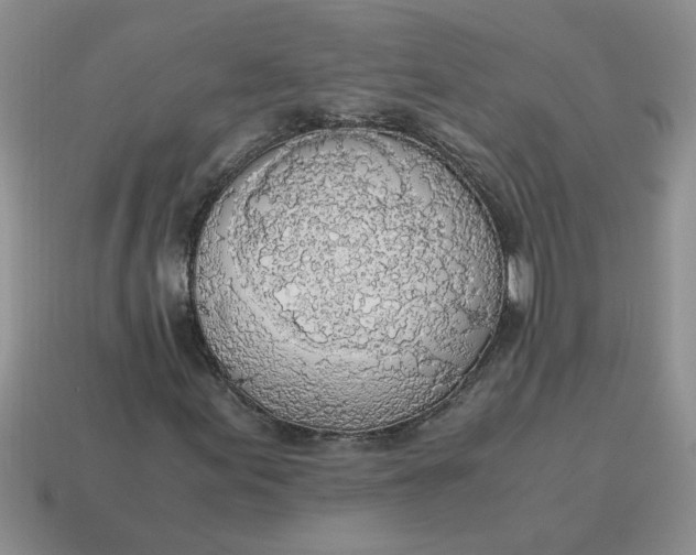 X0000114501155200911091104