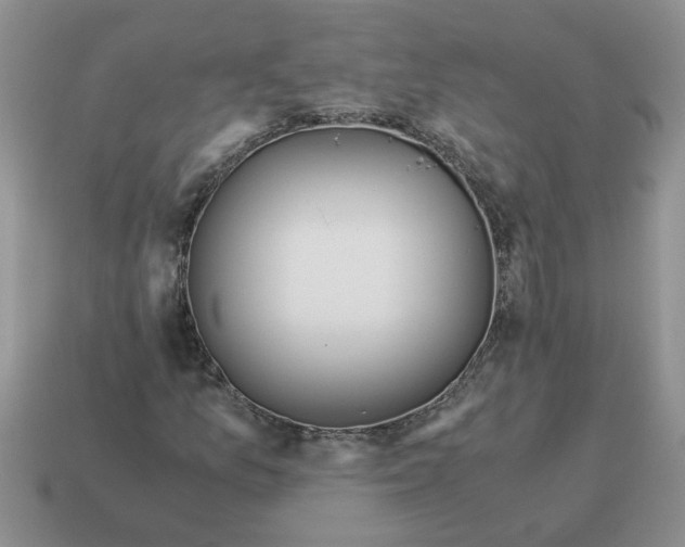 X0000114501157200911091104
