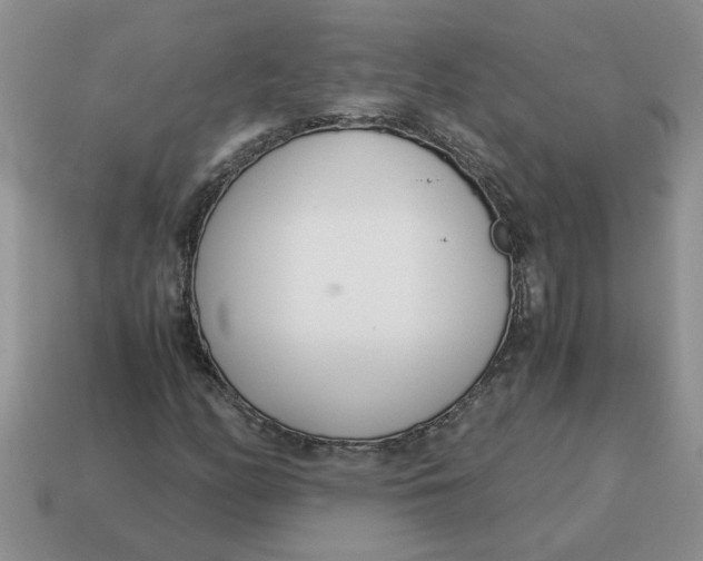 X0000114501158200911091104
