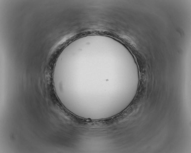 X0000114501159200911091104