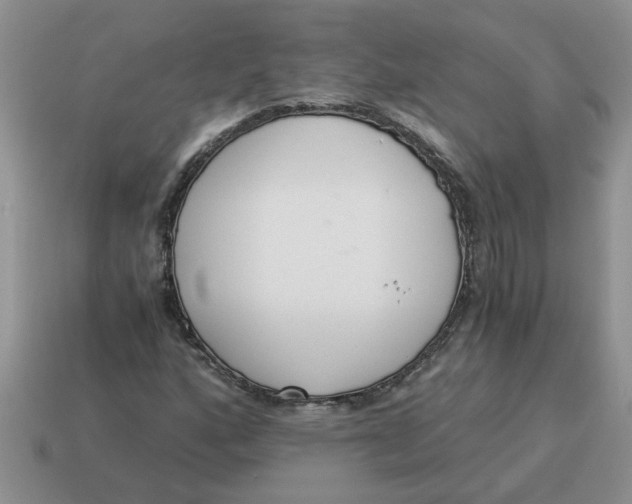 X0000114501160200911091104