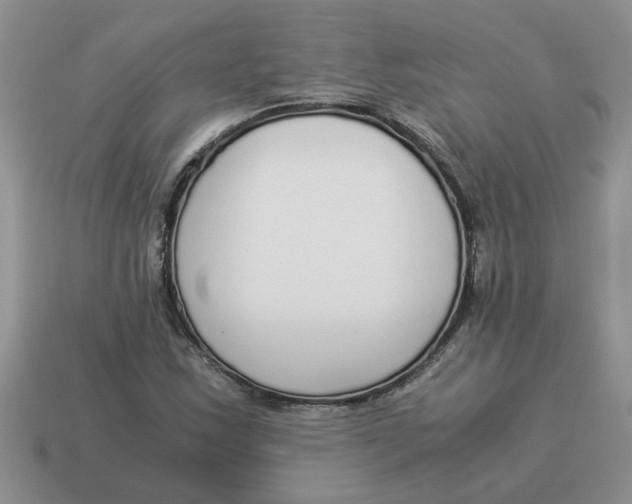 X0000114501163200911091104