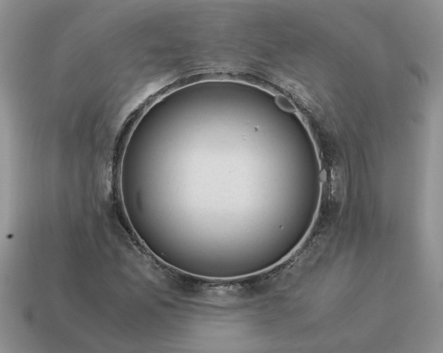 X0000114501165200911091103
