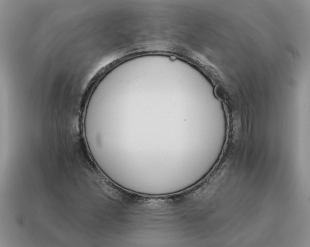 X0000114501166200911091103