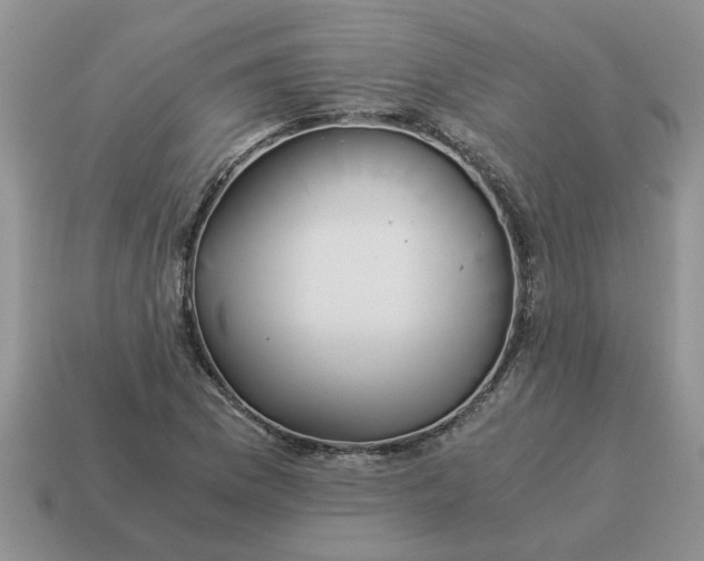 X0000114501169200911091103