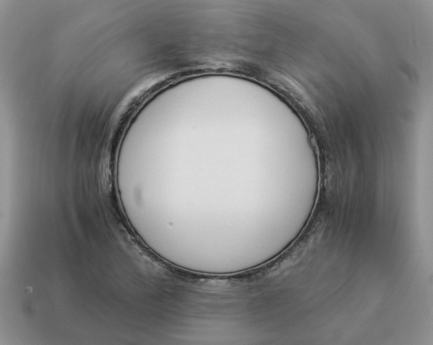 X0000114501172200911091103