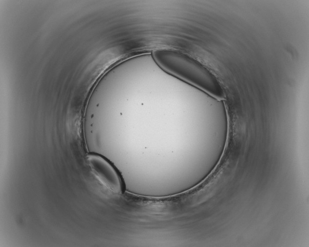 X0000114501177200911091103
